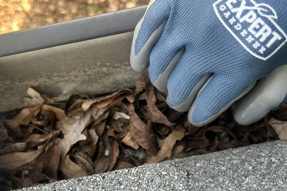 Gutter Cleaning Druid Hills