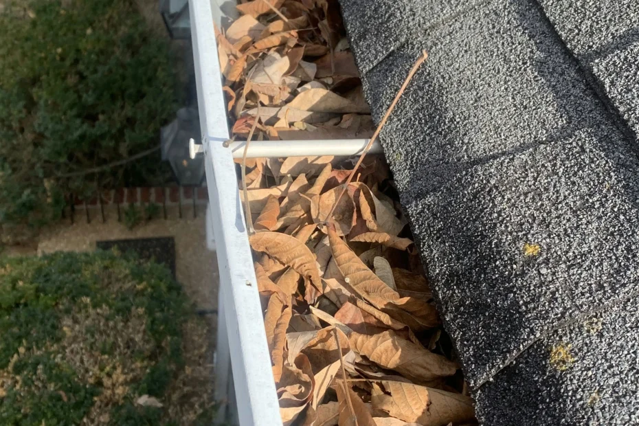 Gutter Cleaning Druid Hills