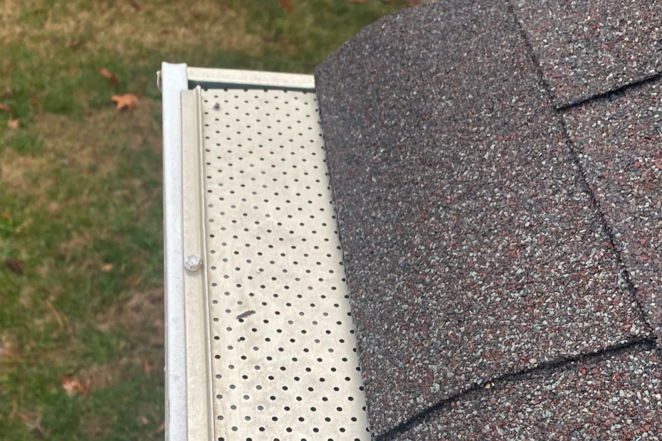 Gutter Cleaning Druid Hills