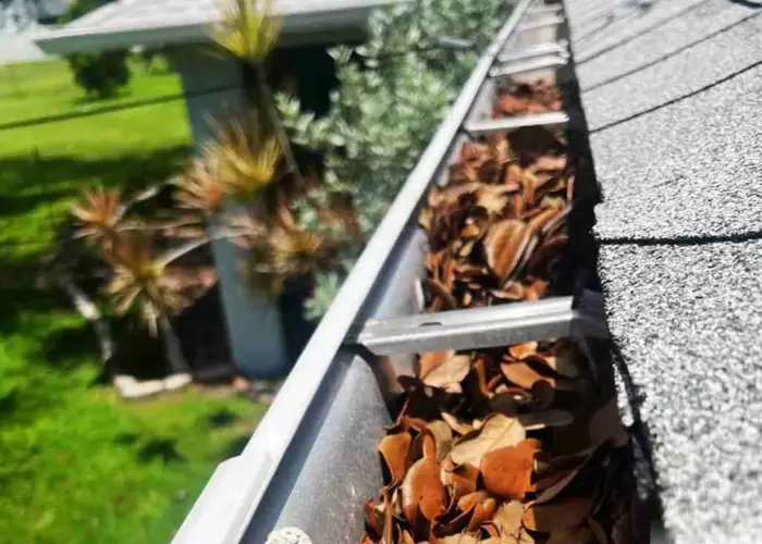 Gutter Cleaning Druid Hills home page